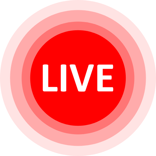 Lovense Interactive Porn
